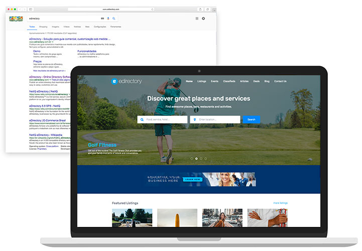 eDirectory SEO