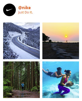 eDirectory Advanced Social Media Plugins - Instagram Plugin eDirectory Advanced Social Media Plugins - Instagram Plugin