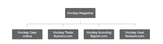 hockey magazine