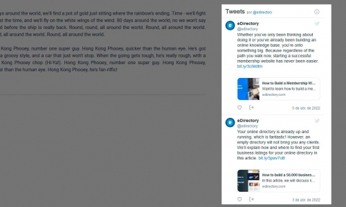 eDirectory - Listing twitter feed detail eDirectory - Listing twitter feed detail